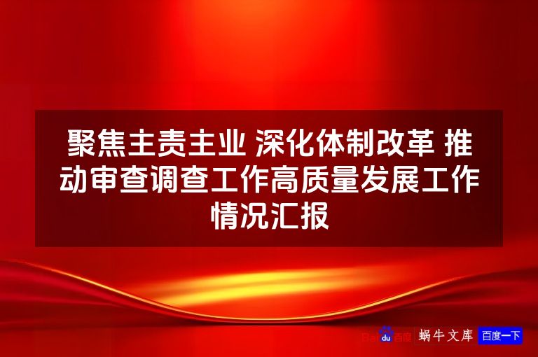 聚焦主责主业 深化体制改革 推动审查调查工作高质量发展工作情况汇报