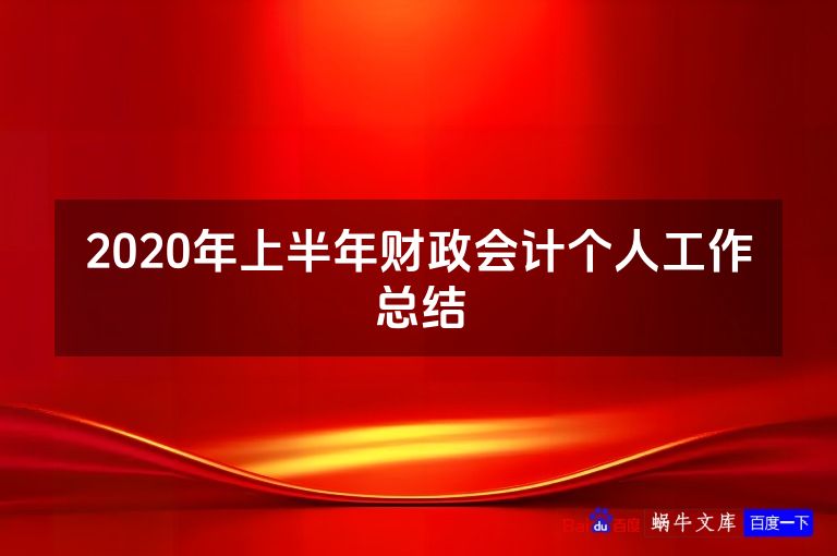 2020年上半年财政会计个人工作总结