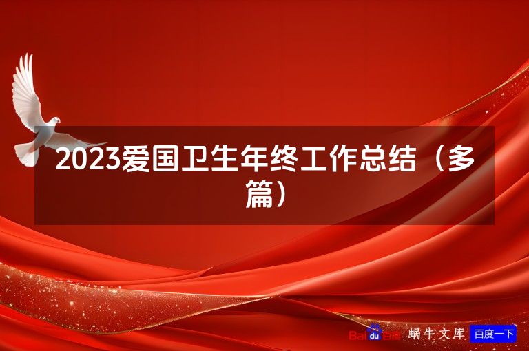 2023爱国卫生年终工作总结（多篇）