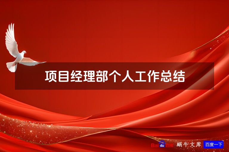 项目经理部个人工作总结