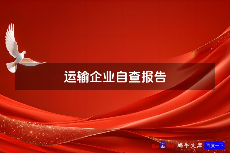 运输企业自查报告