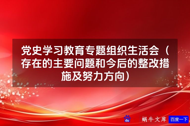 党史学习教育专题组织生活会（存在的主要问题和今后的整改措施及努力方向）