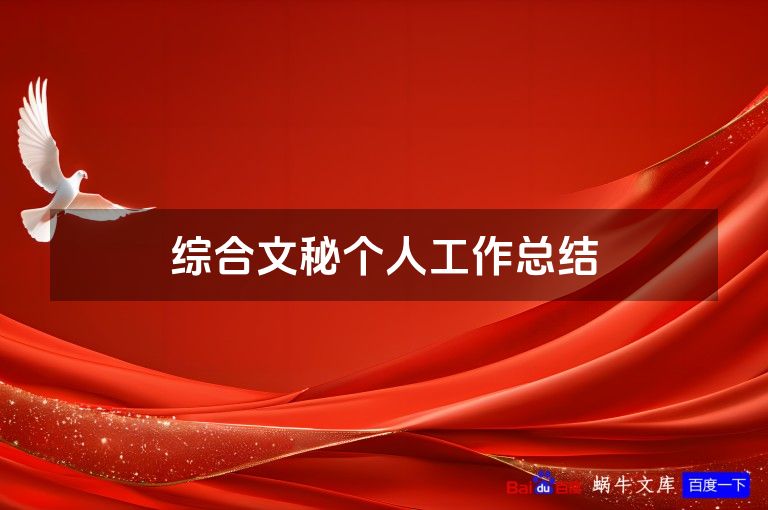 综合文秘个人工作总结