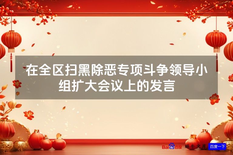 在全区扫黑除恶专项斗争领导小组扩大会议上的发言
