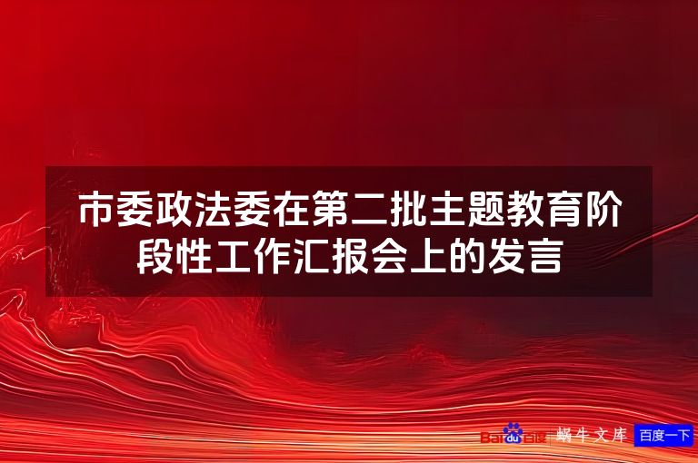 市委政法委在第二批主题教育阶段性工作汇报会上的发言