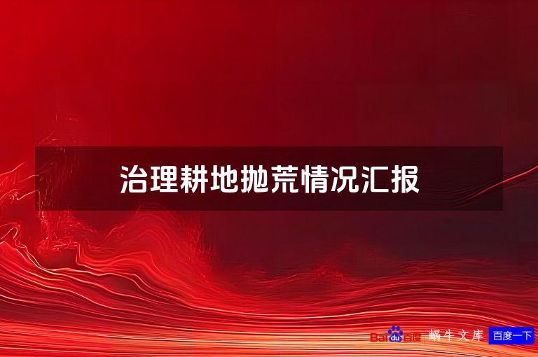 治理耕地抛荒情况汇报
