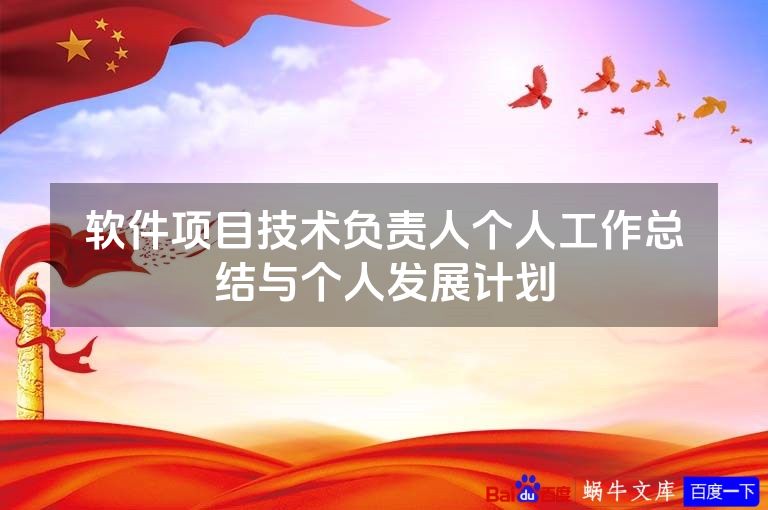 软件项目技术负责人个人工作总结与个人发展计划