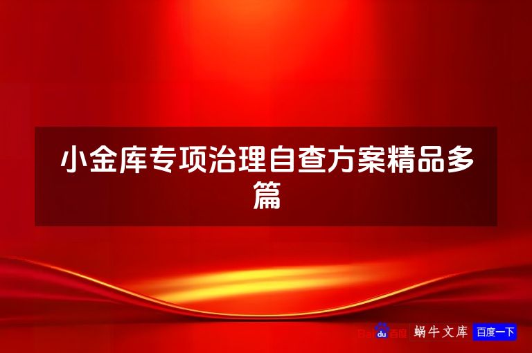 小金库专项治理自查方案精品多篇
