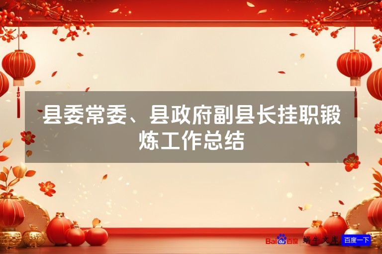 县委常委、县政府副县长挂职锻炼工作总结