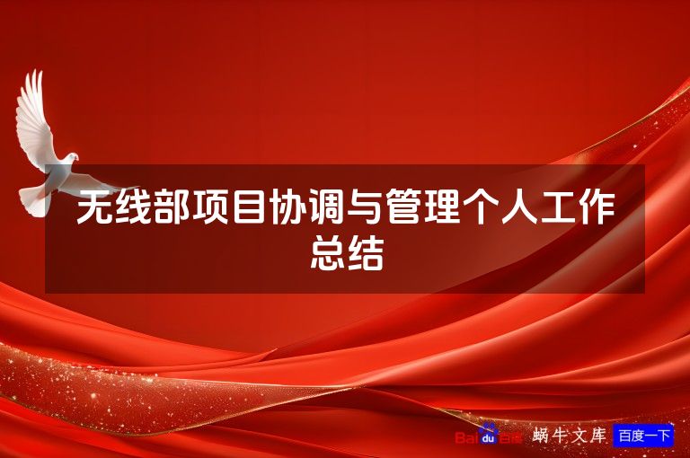 无线部项目协调与管理个人工作总结