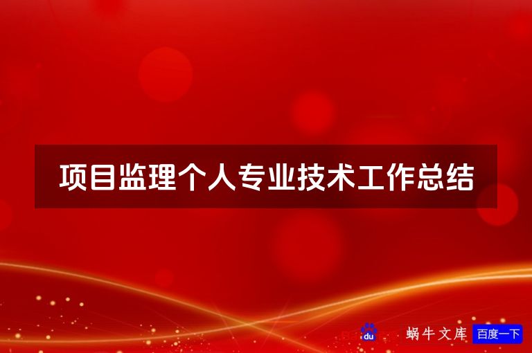 项目监理个人专业技术工作总结