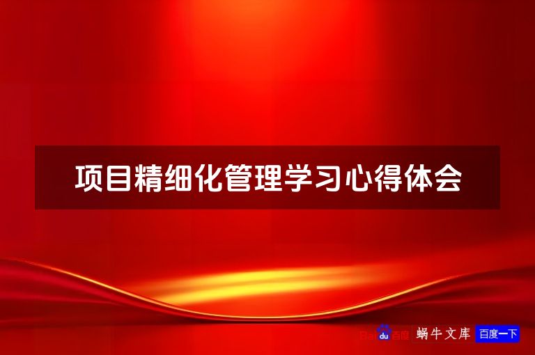项目精细化管理学习心得体会