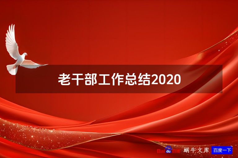 老干部工作总结2020