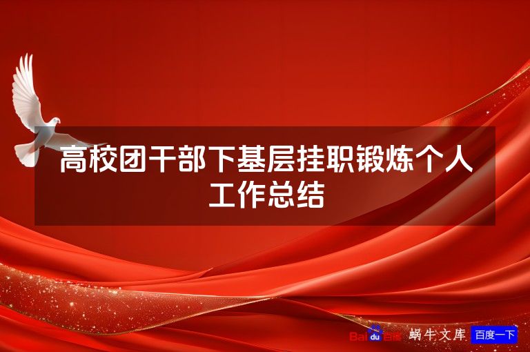 高校团干部下基层挂职锻炼个人工作总结