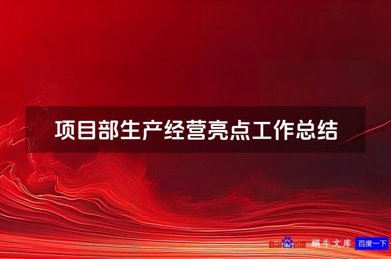 项目部生产经营亮点工作总结