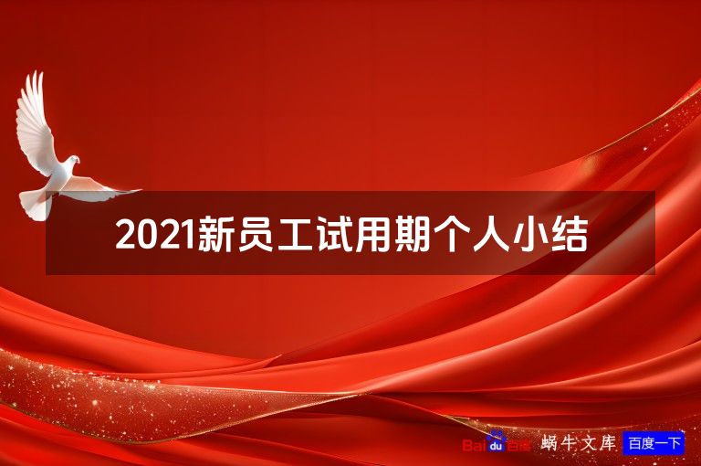 2021新员工试用期个人小结