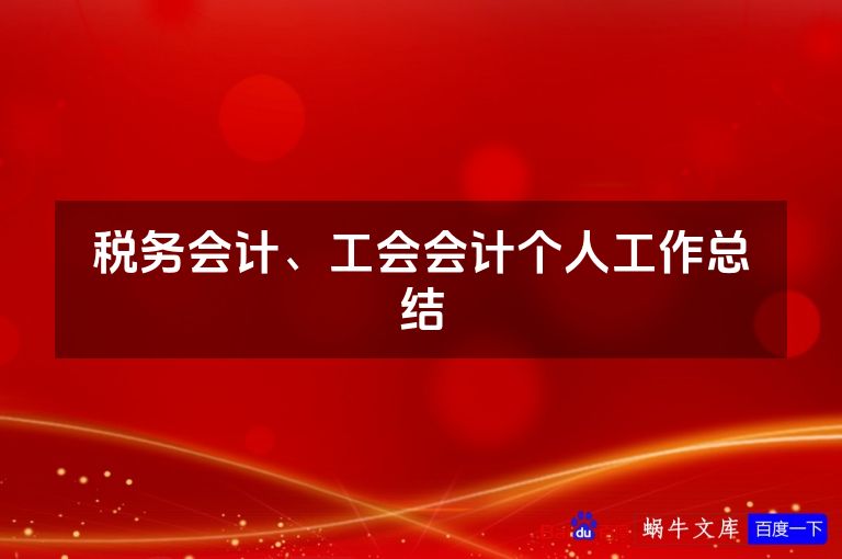 税务会计、工会会计个人工作总结
