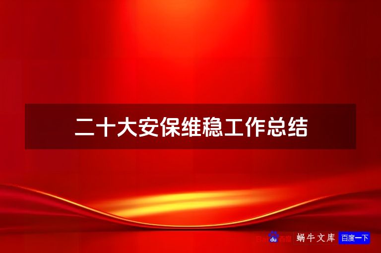 二十大安保维稳工作总结