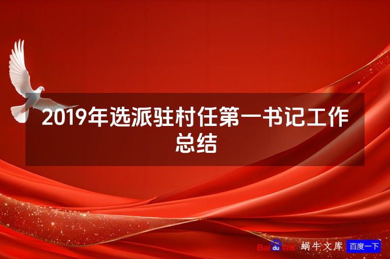 2019年选派驻村任第一书记工作总结