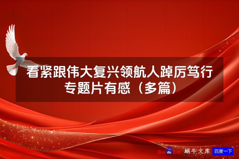 看紧跟伟大复兴领航人踔厉笃行专题片有感（多篇）