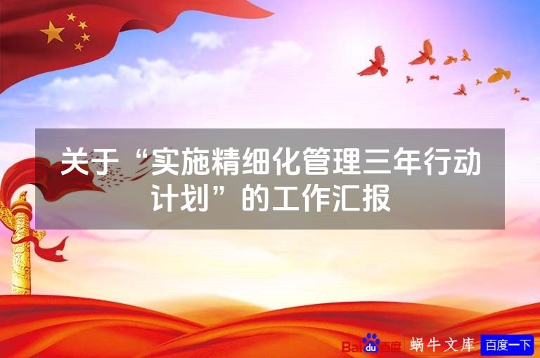 关于“实施精细化管理三年行动计划”的工作汇报