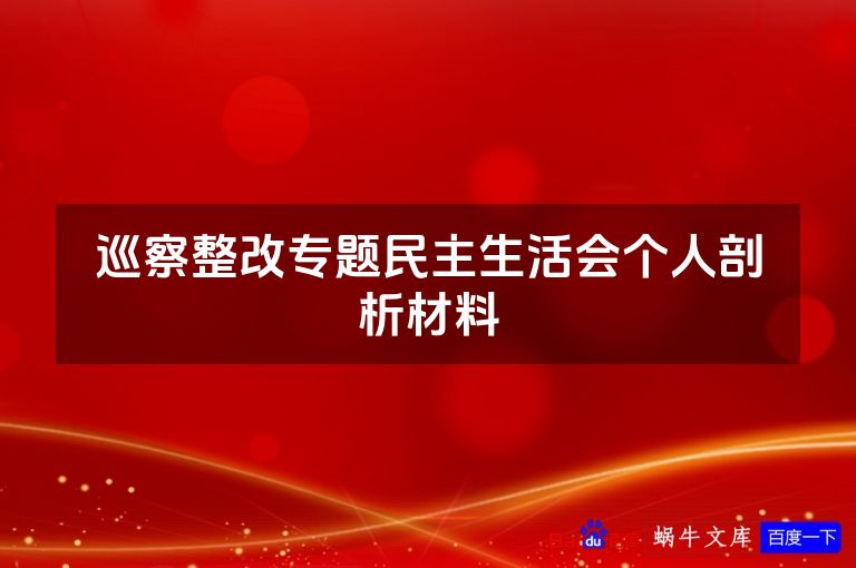 巡察整改专题民主生活会个人剖析材料
