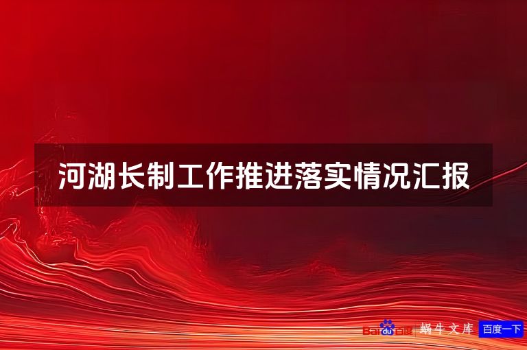 河湖长制工作推进落实情况汇报