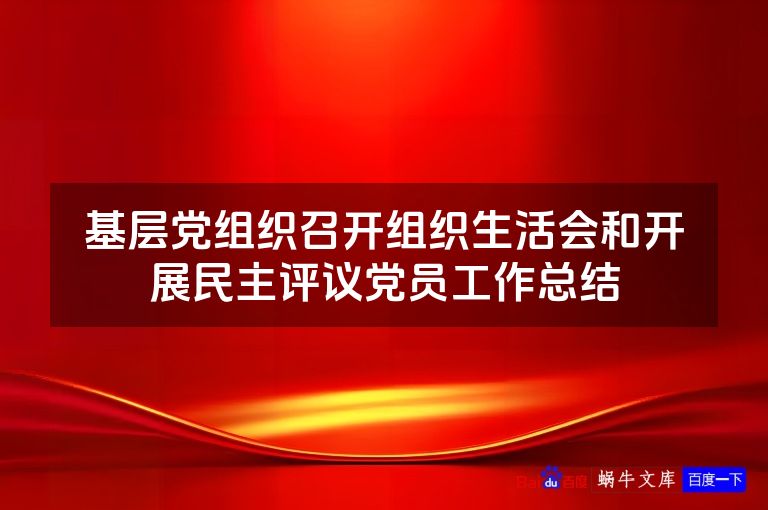 基层党组织召开组织生活会和开展民主评议党员工作总结