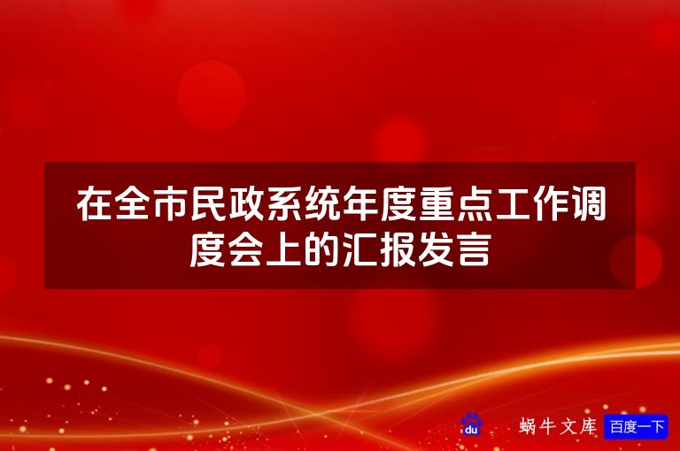 在全市民政系统年度重点工作调度会上的汇报发言