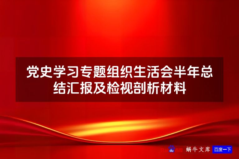 党史学习专题组织生活会半年总结汇报及检视剖析材料