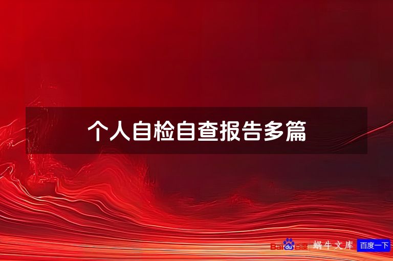 个人自检自查报告多篇