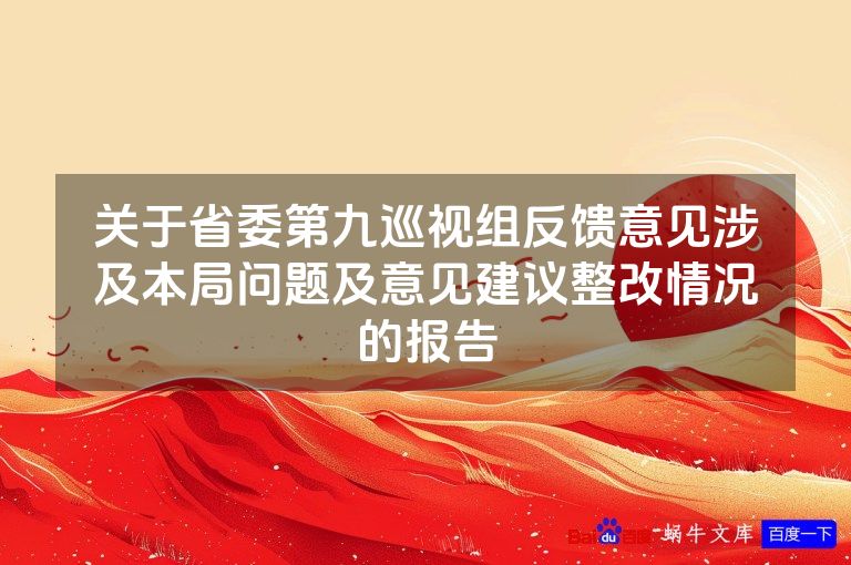 关于省委第九巡视组反馈意见涉及本局问题及意见建议整改情况的报告