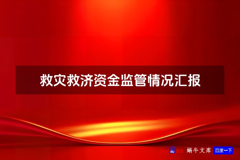 救灾救济资金监管情况汇报