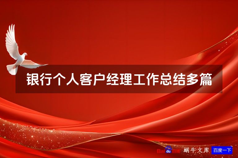 银行个人客户经理工作总结多篇