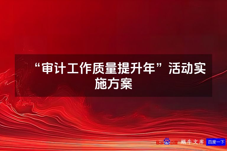 “审计工作质量提升年”活动实施方案
