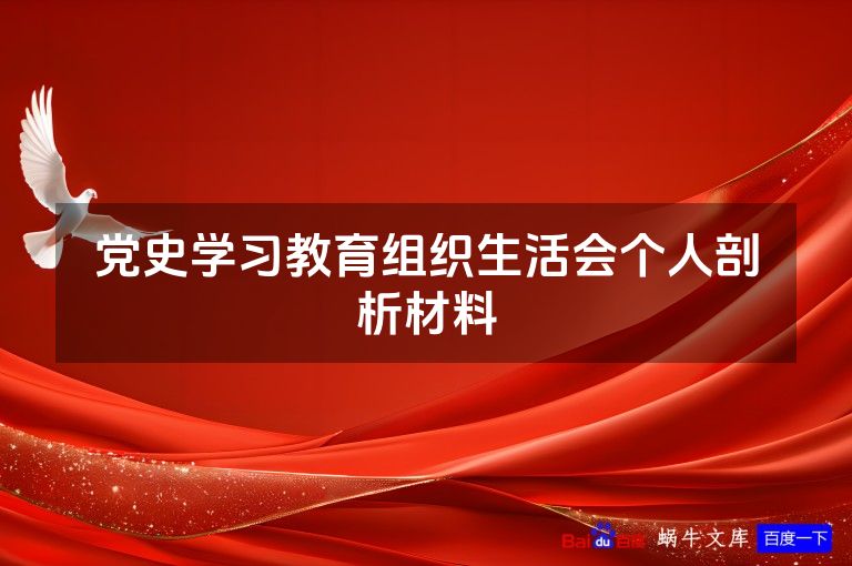 党史学习教育组织生活会个人剖析材料