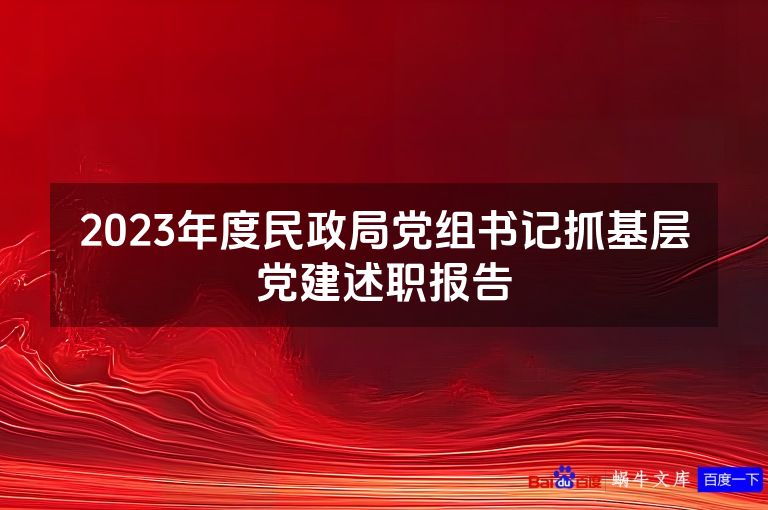 2023年度民政局党组书记抓基层党建述职报告