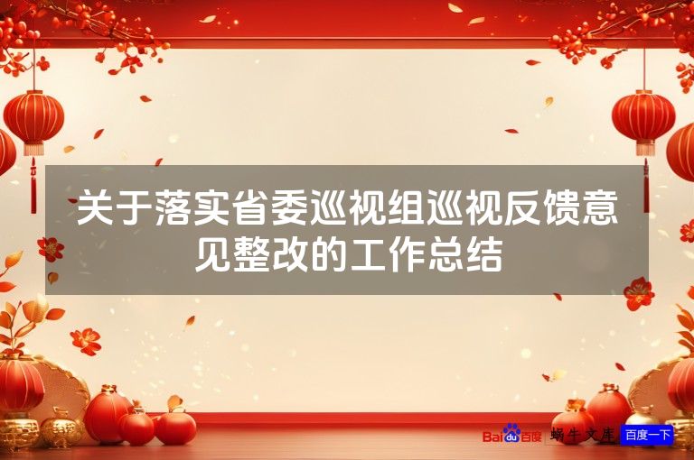 关于落实省委巡视组巡视反馈意见整改的工作总结