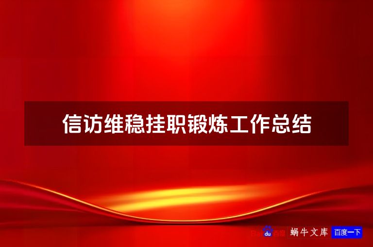 信访维稳挂职锻炼工作总结