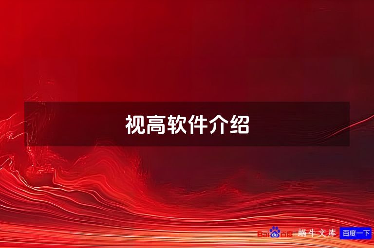视高软件介绍