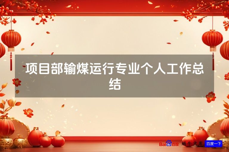项目部输煤运行专业个人工作总结