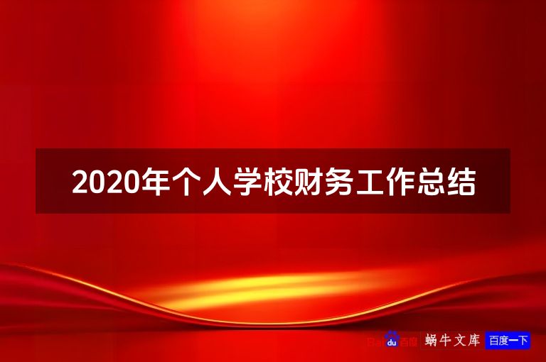 2020年个人学校财务工作总结