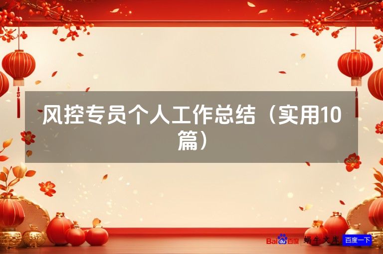 风控专员个人工作总结（实用10篇）