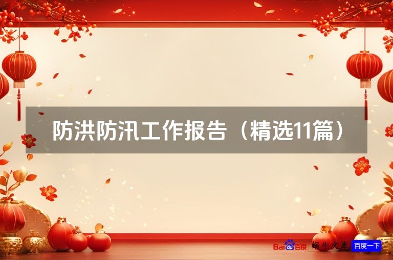 防洪防汛工作报告(精选11篇)