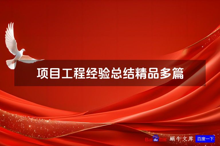项目工程经验总结精品多篇
