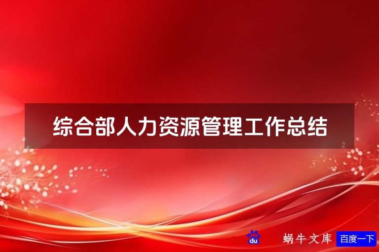 综合部人力资源管理工作总结