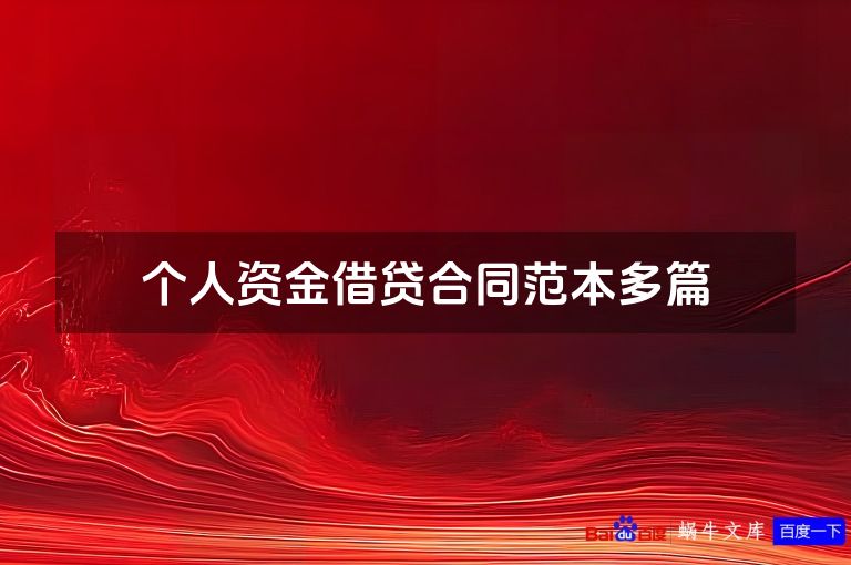 个人资金借贷合同范本多篇