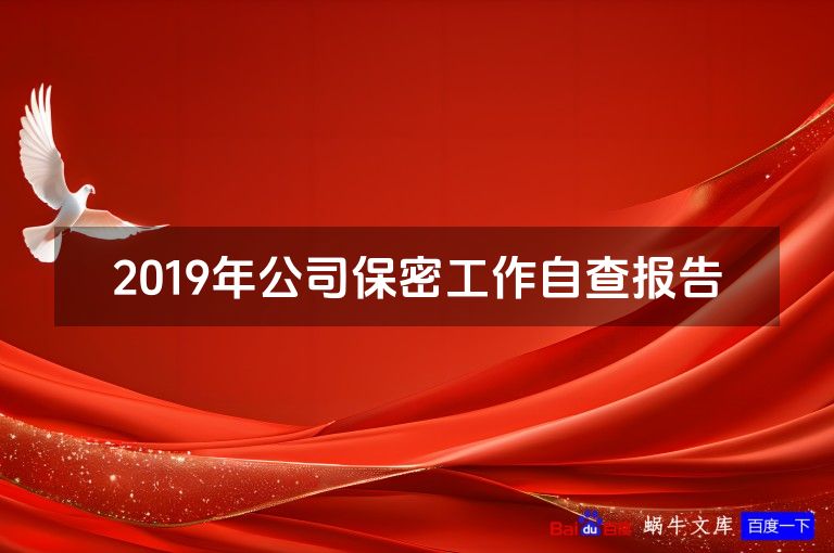 2019年公司保密工作自查报告