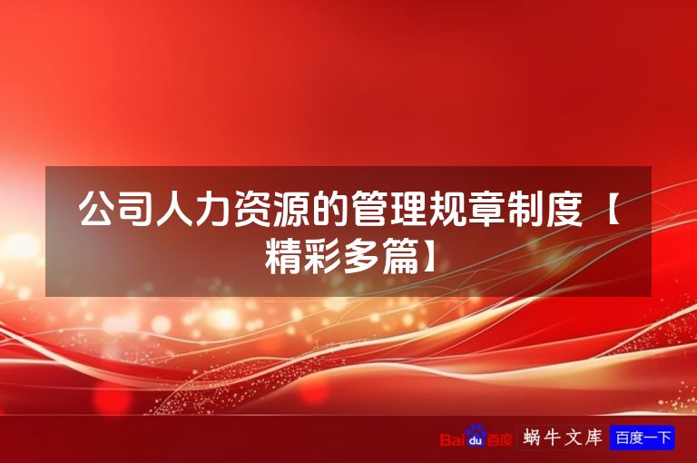 公司人力资源的管理规章制度【精彩多篇】