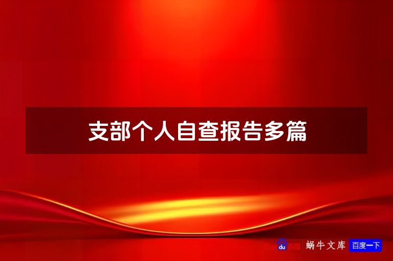 支部个人自查报告多篇